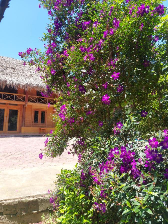 Flower Hmong Homestay Bac Ha  Ngoại thất bức ảnh