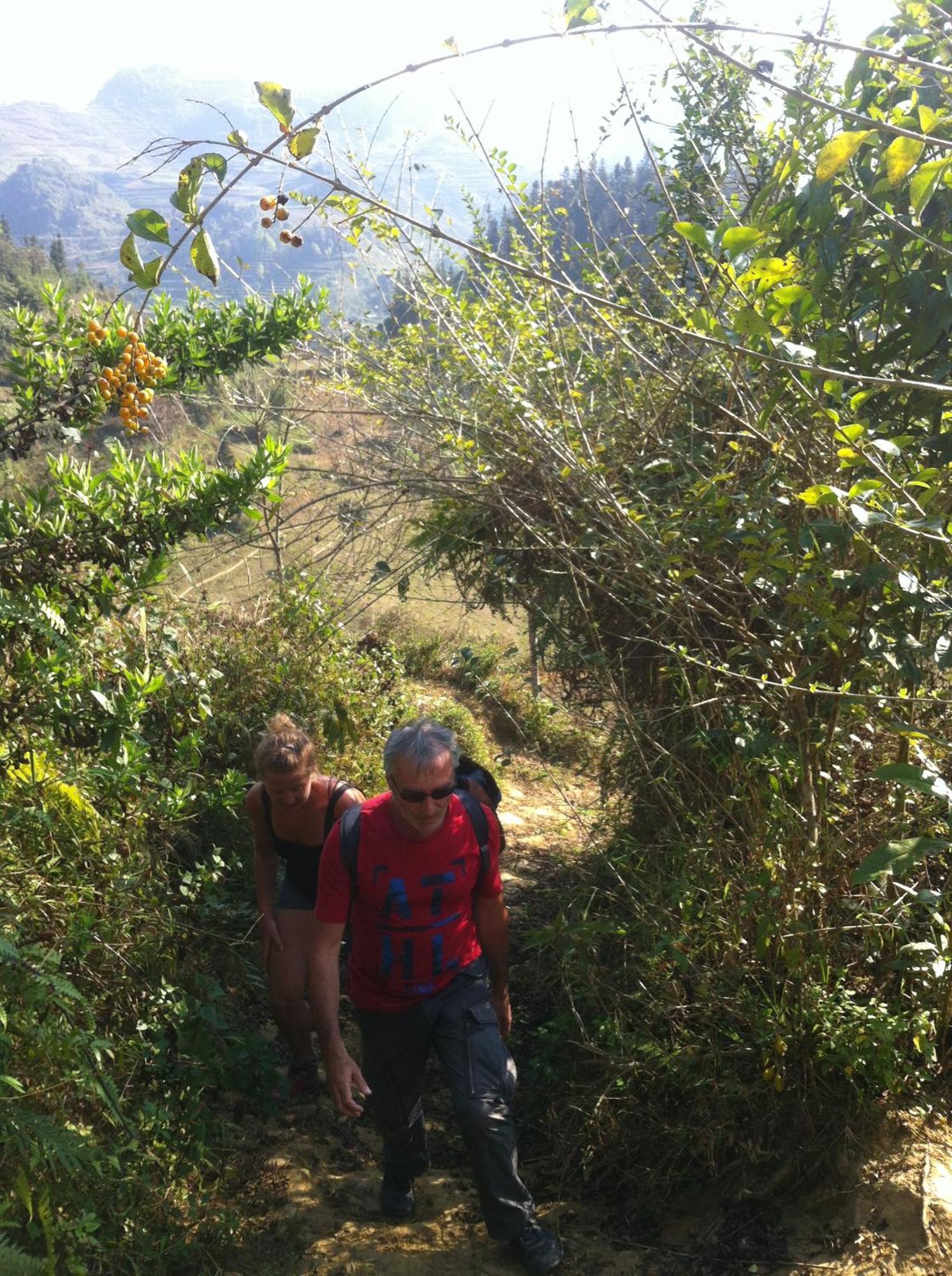Flower Hmong Homestay Bac Ha  Ngoại thất bức ảnh
