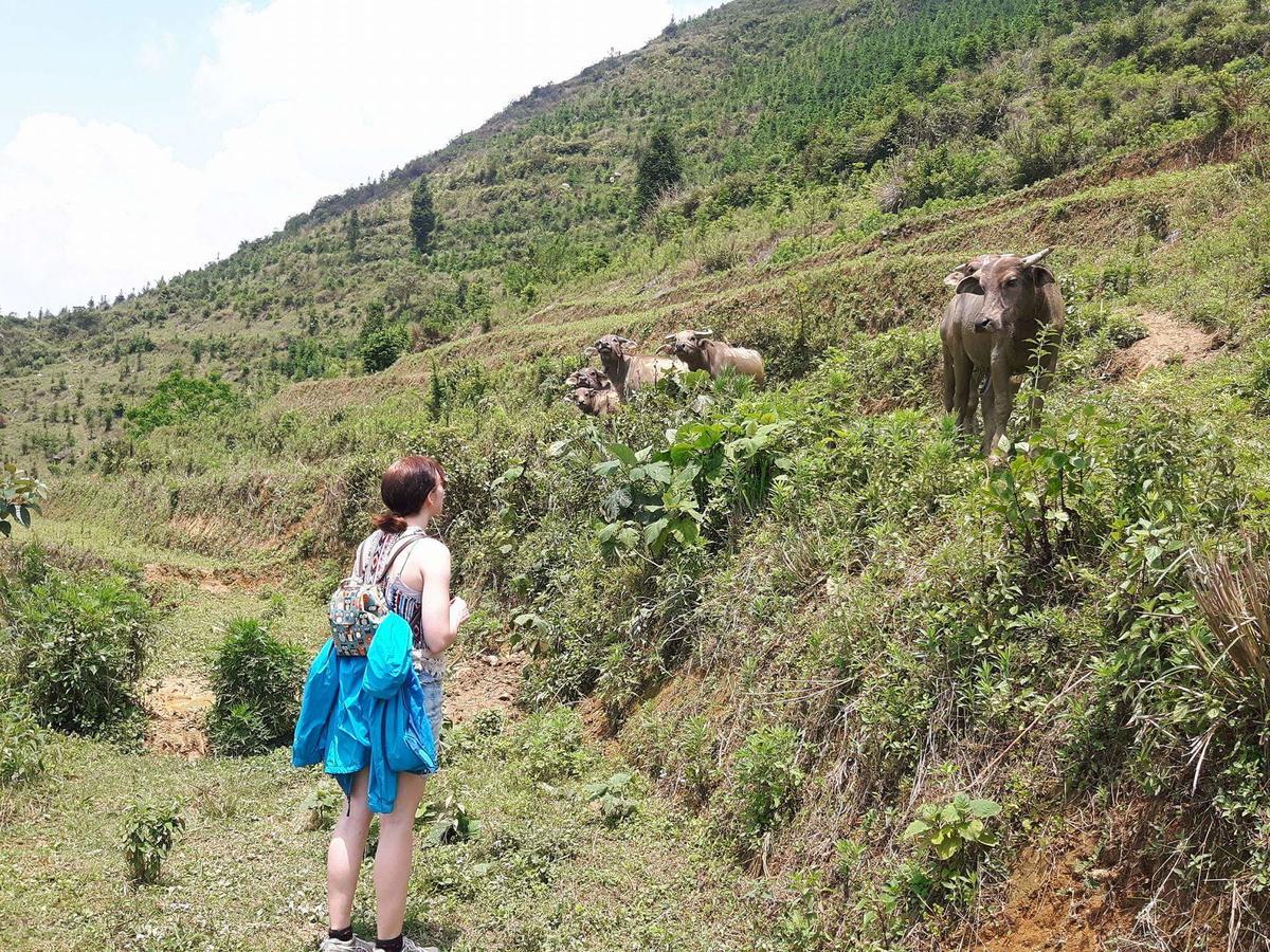 Flower Hmong Homestay Bac Ha  Ngoại thất bức ảnh