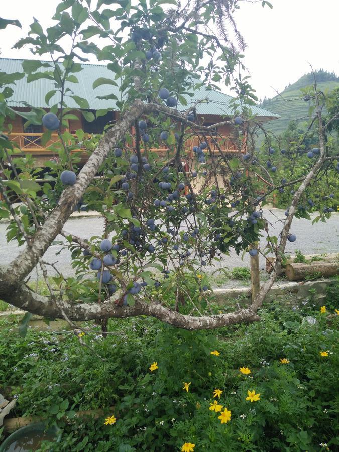 Flower Hmong Homestay Bac Ha  Ngoại thất bức ảnh