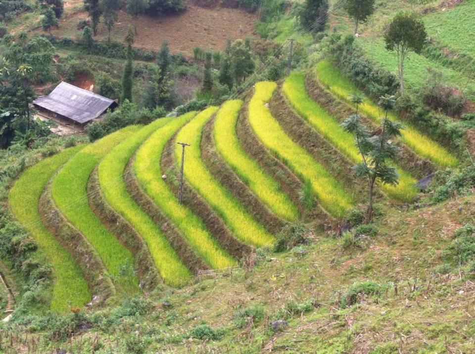 Flower Hmong Homestay Bac Ha  Ngoại thất bức ảnh