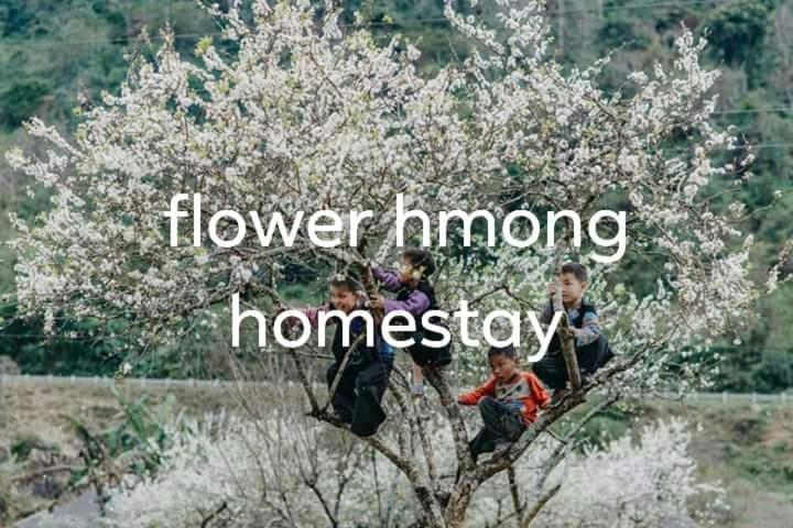 Flower Hmong Homestay Bac Ha  Ngoại thất bức ảnh