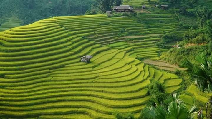 Flower Hmong Homestay Bac Ha  Ngoại thất bức ảnh